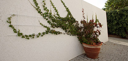 Aussenanlagen mit Niveau